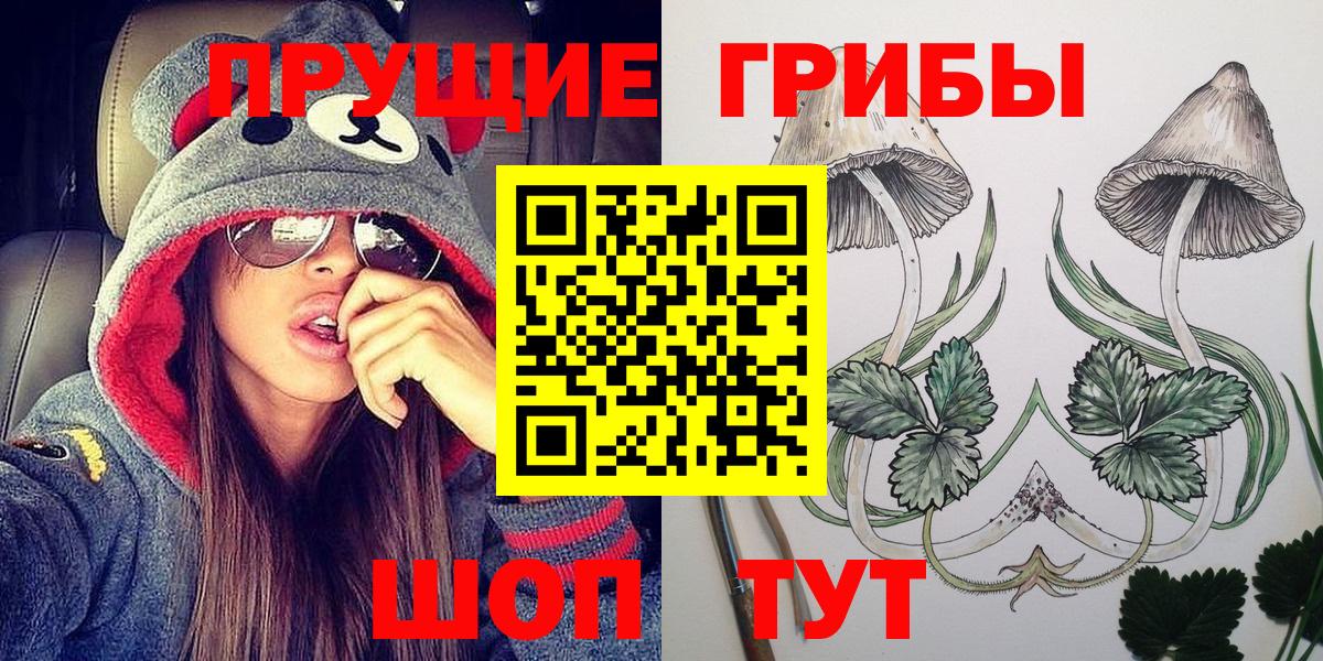 Майкоп  Псилоцибиновые грибы мицелий  закладка  Псилоцибиновые грибы Psilocybine cubensis  Вход с VPN 
